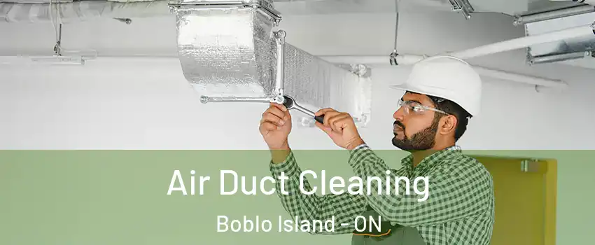  Air Duct Cleaning Boblo Island - ON