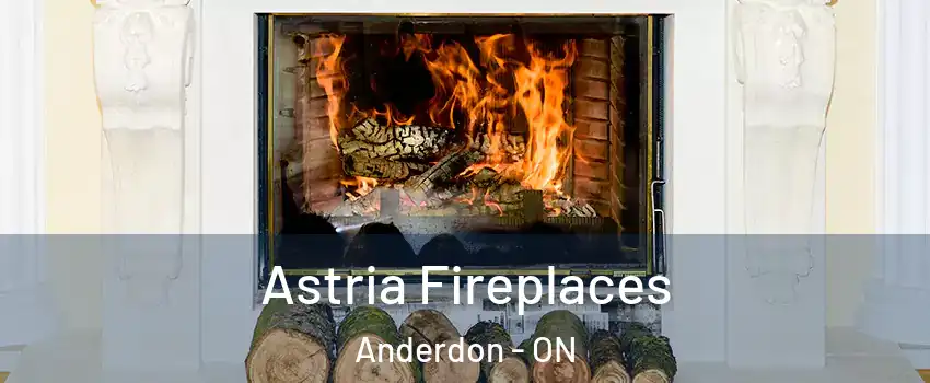  Astria Fireplaces Anderdon - ON