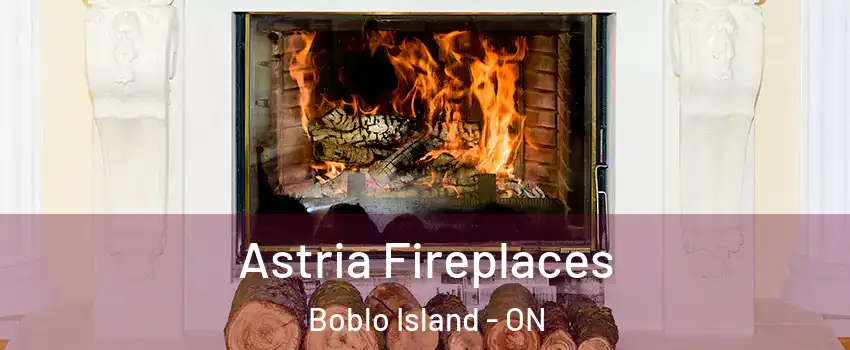  Astria Fireplaces Boblo Island - ON