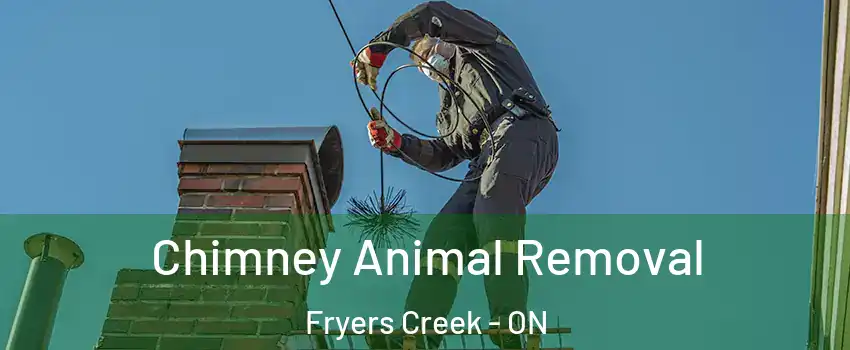  Chimney Animal Removal Fryers Creek - ON