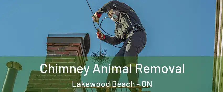  Chimney Animal Removal Lakewood Beach - ON