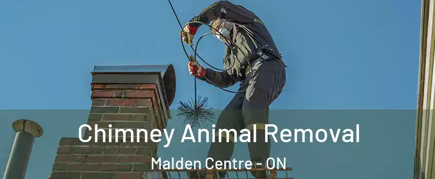  Chimney Animal Removal Malden Centre - ON