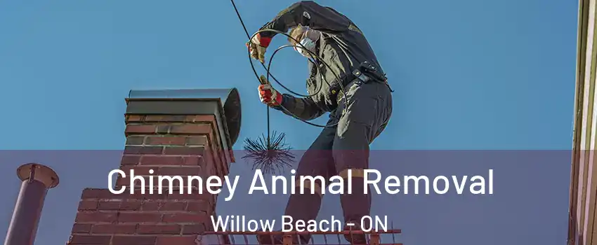  Chimney Animal Removal Willow Beach - ON