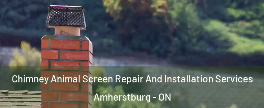  Chimney Animal Screen Repair And Installation Services Amherstburg - ON