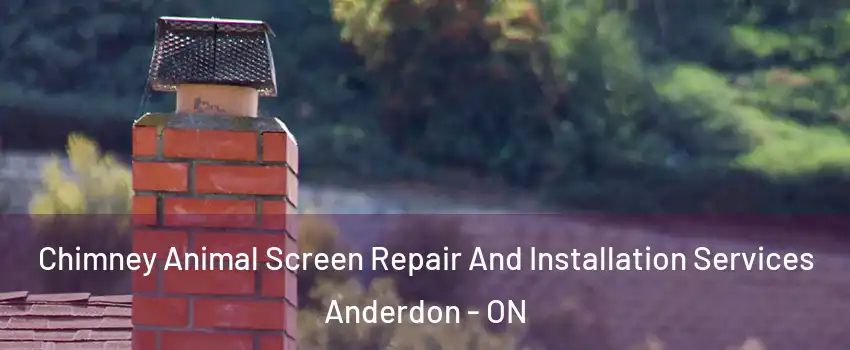  Chimney Animal Screen Repair And Installation Services Anderdon - ON