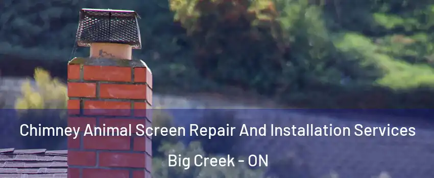  Chimney Animal Screen Repair And Installation Services Big Creek - ON