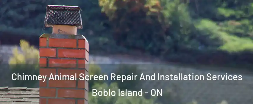  Chimney Animal Screen Repair And Installation Services Boblo Island - ON