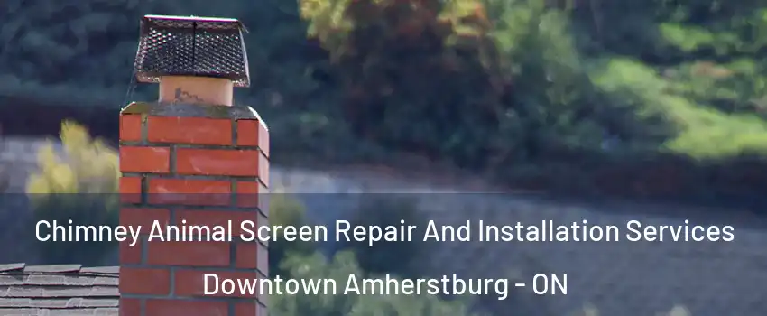  Chimney Animal Screen Repair And Installation Services Downtown Amherstburg - ON