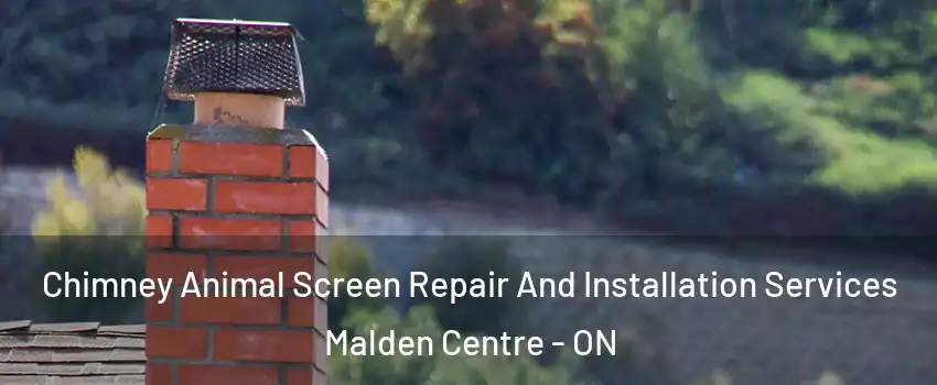  Chimney Animal Screen Repair And Installation Services Malden Centre - ON