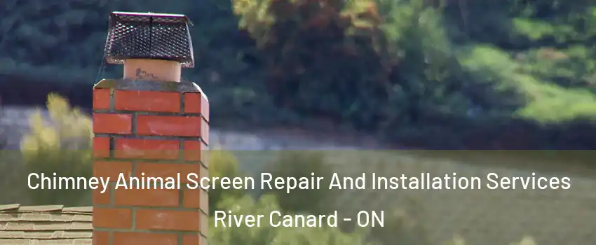  Chimney Animal Screen Repair And Installation Services River Canard - ON