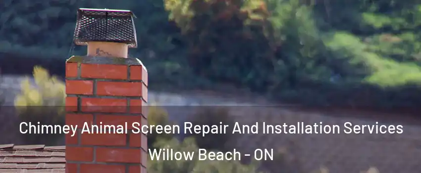  Chimney Animal Screen Repair And Installation Services Willow Beach - ON