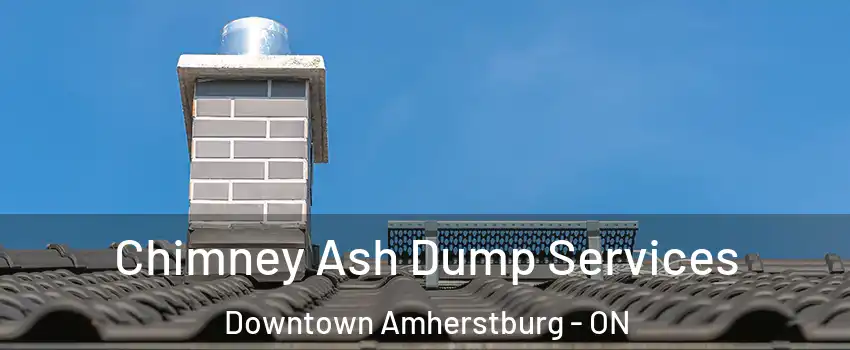  Chimney Ash Dump Services Downtown Amherstburg - ON