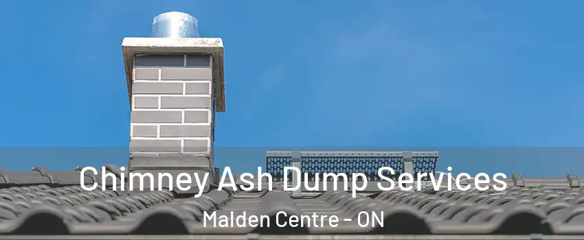 Chimney Ash Dump Services Malden Centre - ON