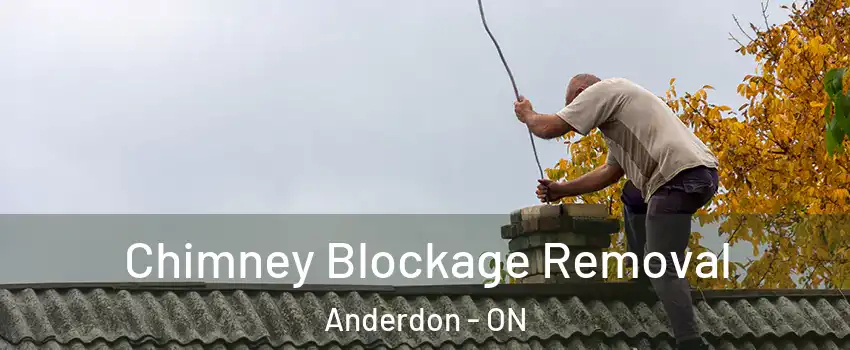  Chimney Blockage Removal Anderdon - ON