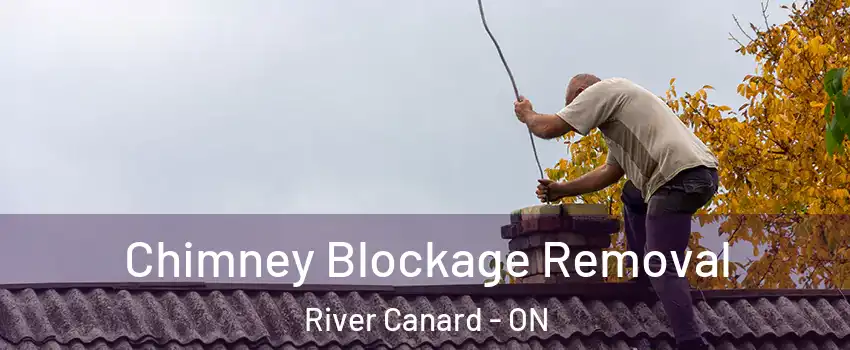  Chimney Blockage Removal River Canard - ON