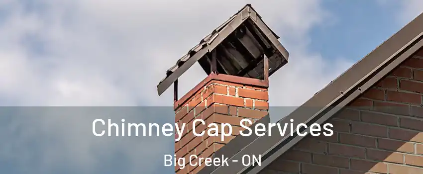  Chimney Cap Services Big Creek - ON