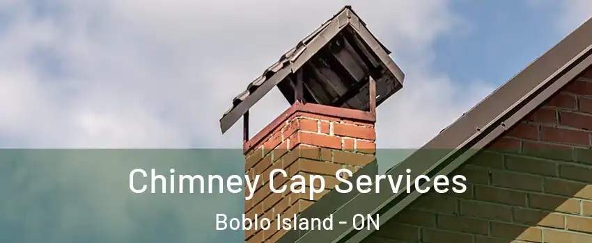  Chimney Cap Services Boblo Island - ON