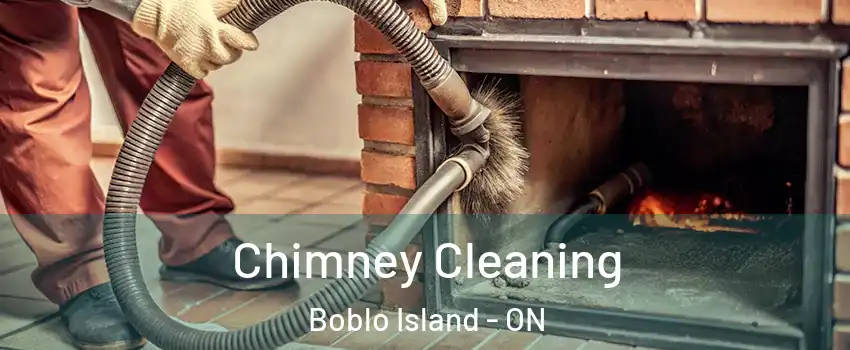  Chimney Cleaning Boblo Island - ON
