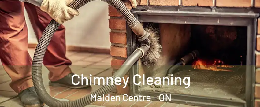  Chimney Cleaning Malden Centre - ON