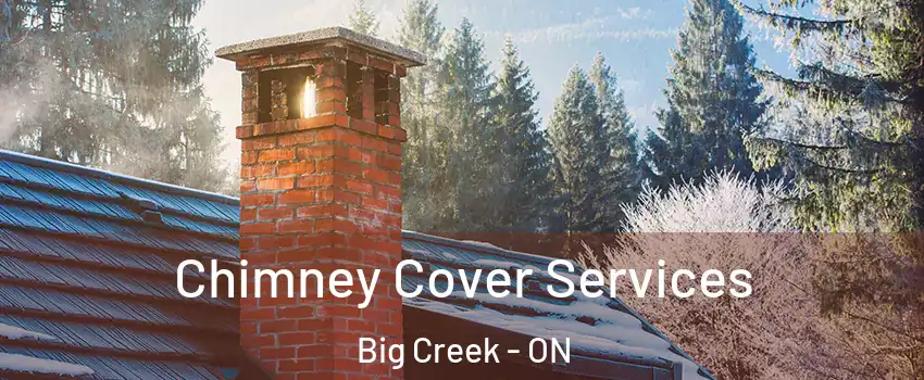  Chimney Cover Services Big Creek - ON