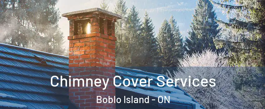  Chimney Cover Services Boblo Island - ON