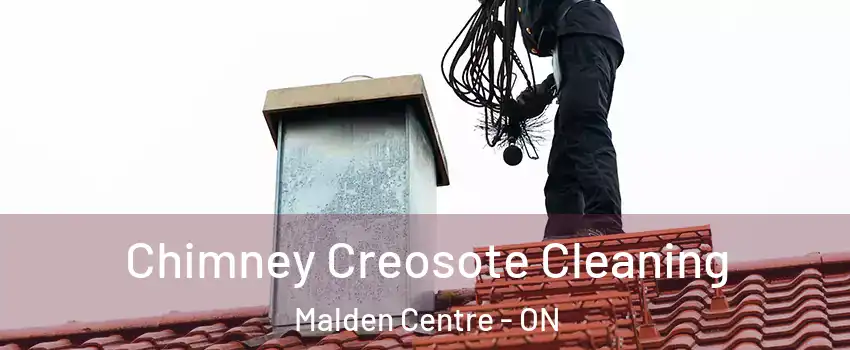  Chimney Creosote Cleaning Malden Centre - ON