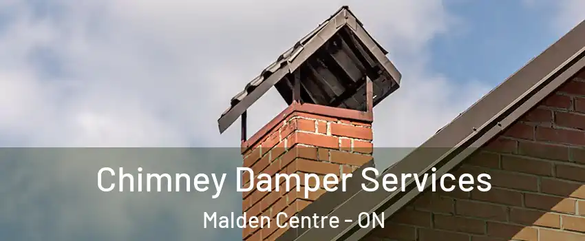  Chimney Damper Services Malden Centre - ON