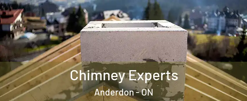 Chimney Experts Anderdon - ON