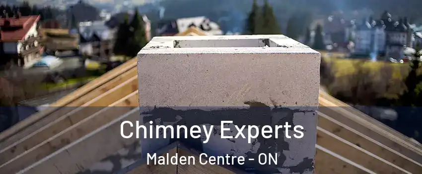 Chimney Experts Malden Centre - ON
