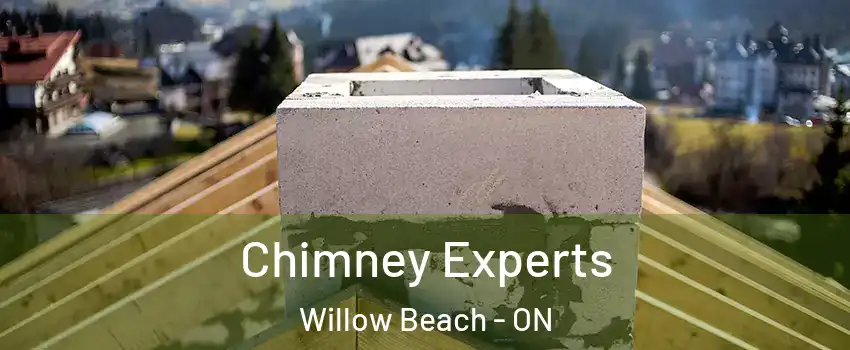  Chimney Experts Willow Beach - ON