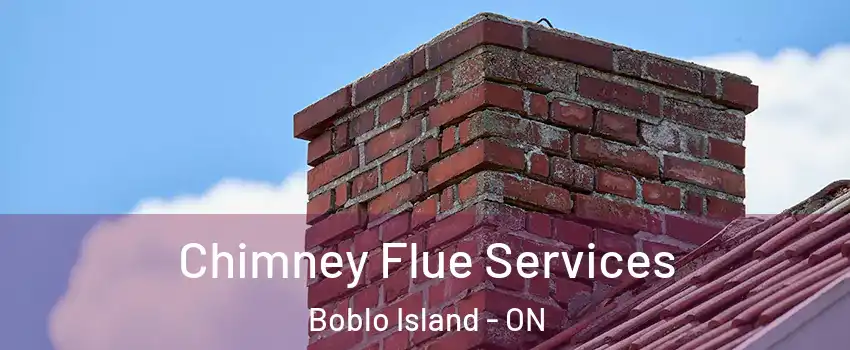  Chimney Flue Services Boblo Island - ON