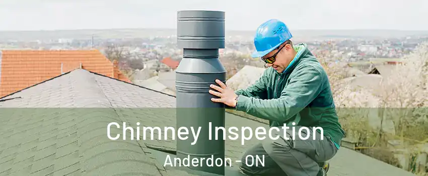  Chimney Inspection Anderdon - ON