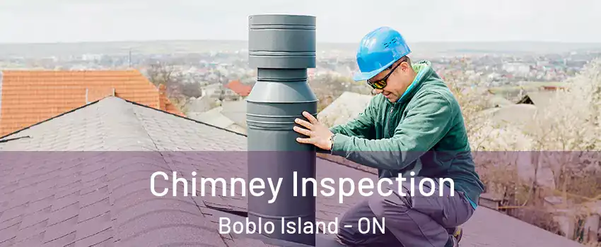  Chimney Inspection Boblo Island - ON