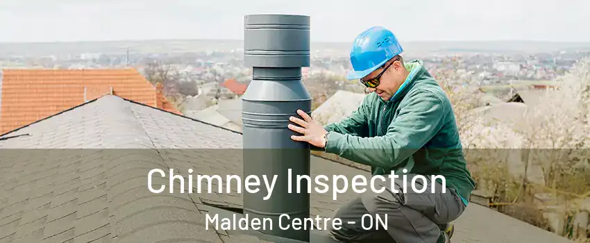  Chimney Inspection Malden Centre - ON