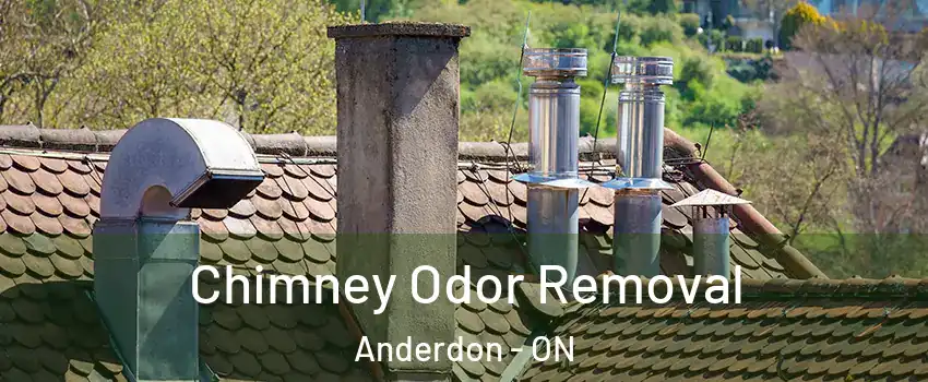 Chimney Odor Removal Anderdon - ON