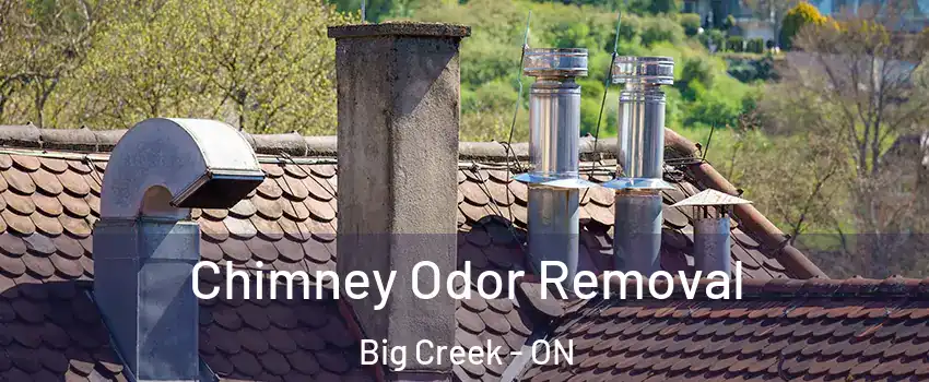  Chimney Odor Removal Big Creek - ON