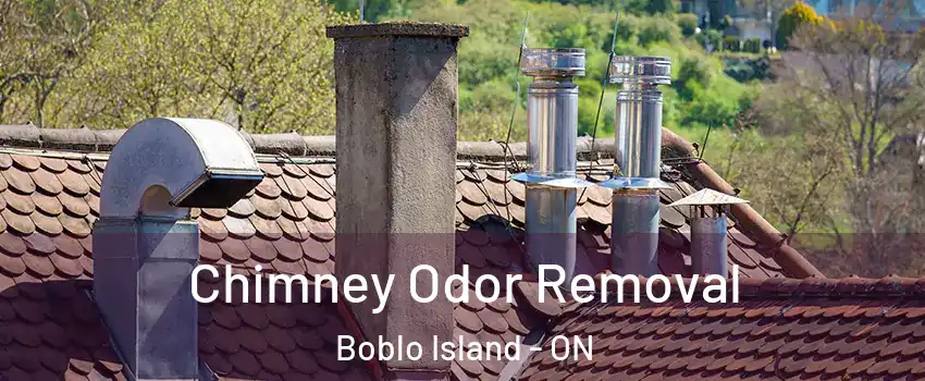 Chimney Odor Removal Boblo Island - ON