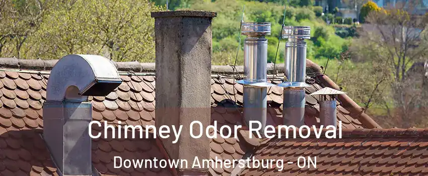  Chimney Odor Removal Downtown Amherstburg - ON