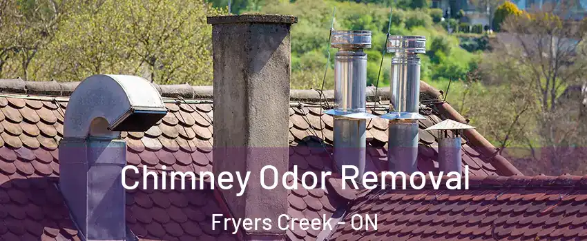  Chimney Odor Removal Fryers Creek - ON