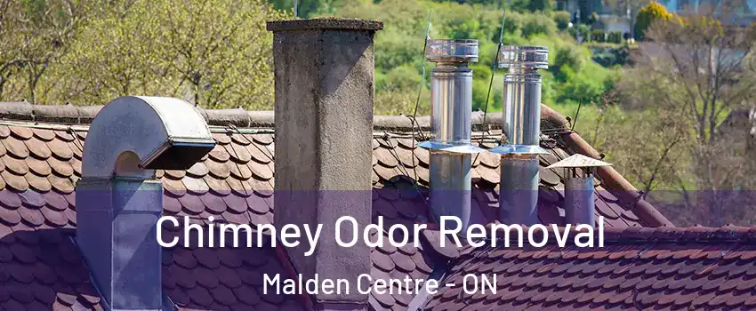  Chimney Odor Removal Malden Centre - ON