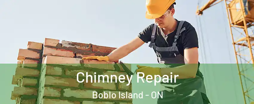  Chimney Repair Boblo Island - ON