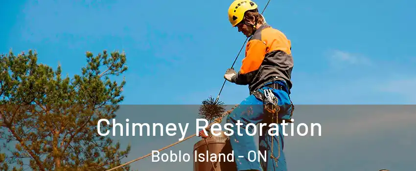 Chimney Restoration Boblo Island - ON