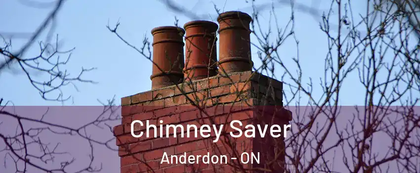  Chimney Saver Anderdon - ON