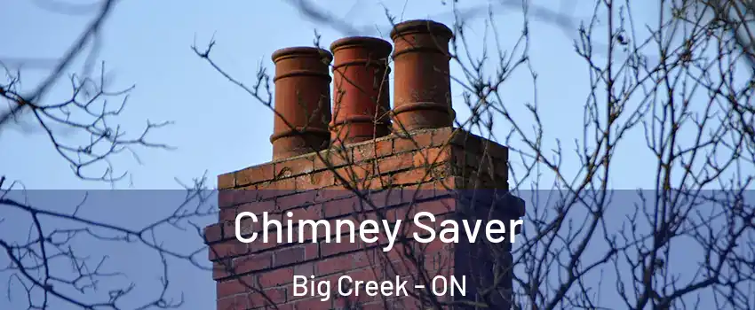  Chimney Saver Big Creek - ON