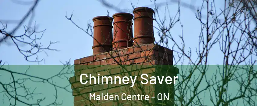  Chimney Saver Malden Centre - ON