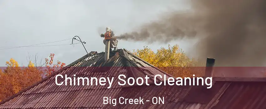  Chimney Soot Cleaning Big Creek - ON