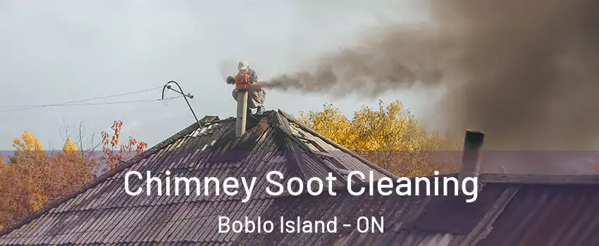  Chimney Soot Cleaning Boblo Island - ON