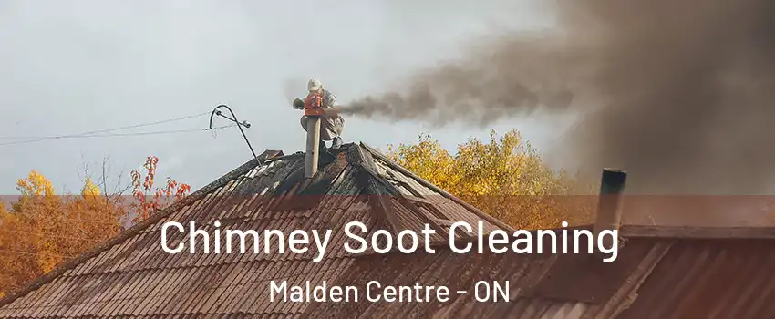  Chimney Soot Cleaning Malden Centre - ON