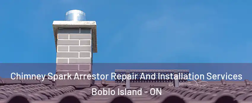  Chimney Spark Arrestor Repair And Installation Services Boblo Island - ON