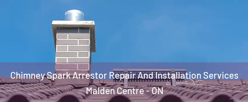  Chimney Spark Arrestor Repair And Installation Services Malden Centre - ON